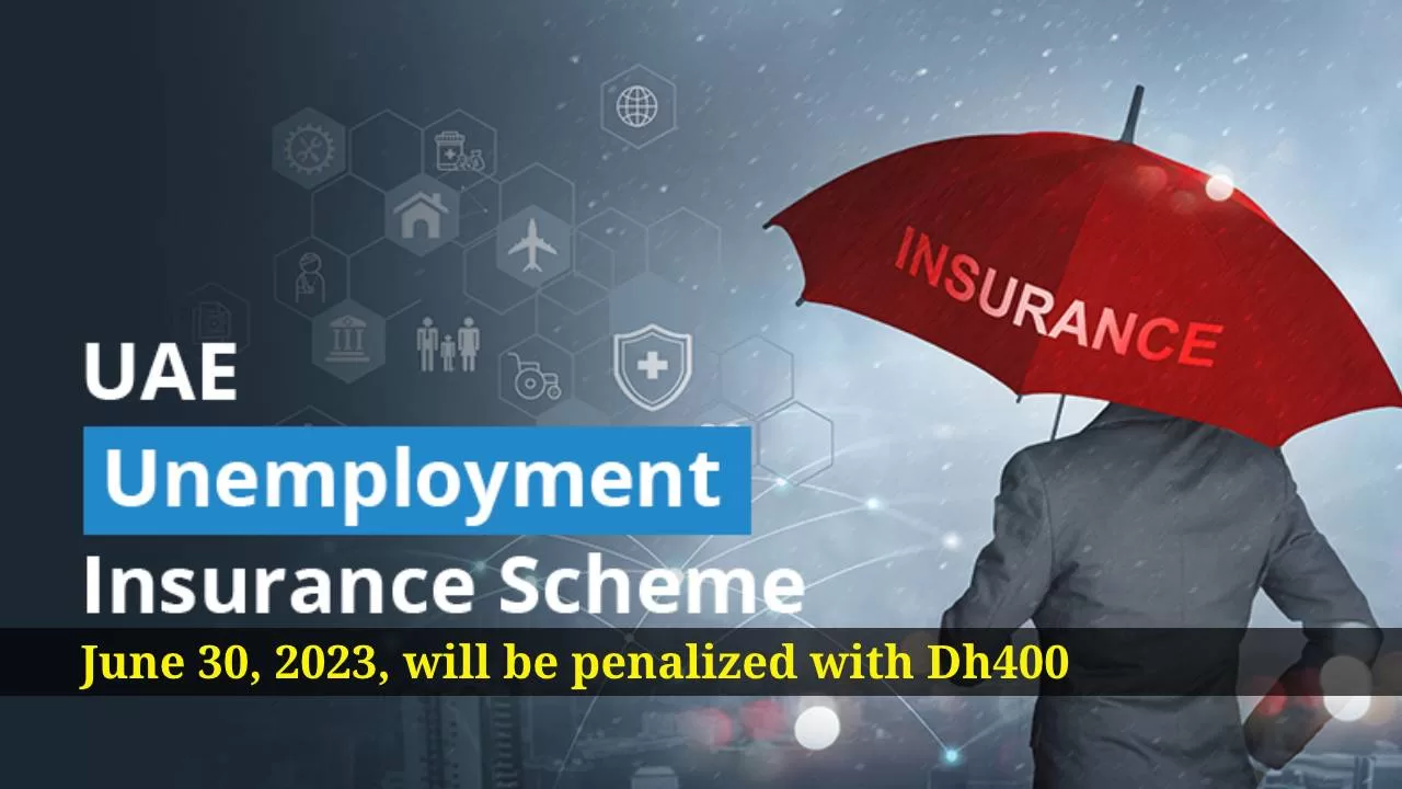 unemployment insurance uae